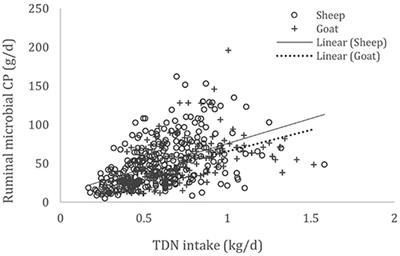 Metabolizable Protein: 1. Predicting Equations to Estimate Microbial Crude Protein Synthesis in Small Ruminants